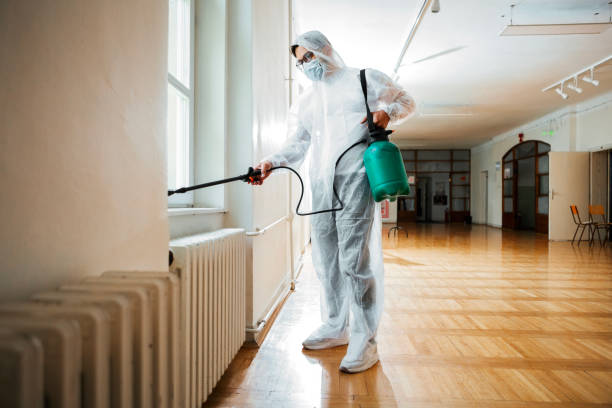 Best Residential Pest Control  in Saugerties South, NY